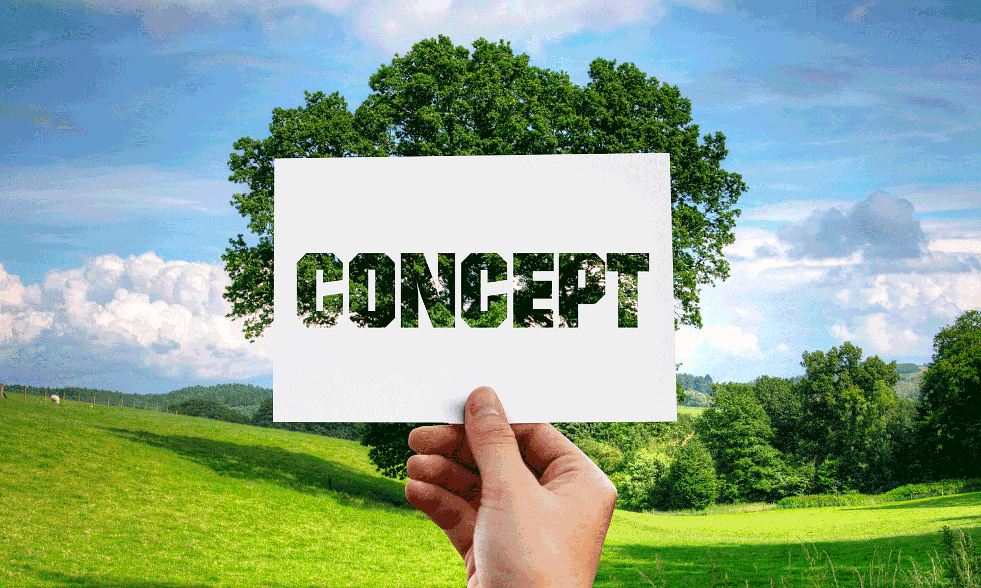 iws kornyezet tudatossag